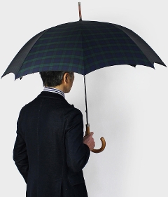tHbNX Au / FOX UMBRELLAS / Jp (  / UV ) P / GT1 yO[/lCr[/uEz