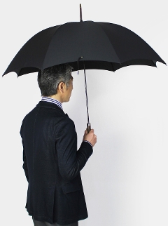 tHbNX Au / FOX UMBRELLAS / Jp (  / UV ) P / GT1 ylCr[/ubNz